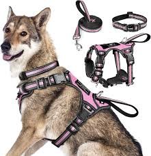 Harness Sets